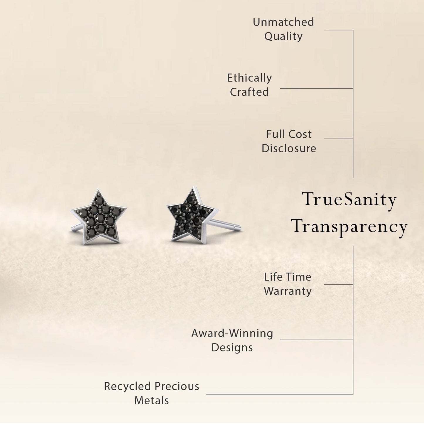 Black Diamond Celestial Sparkle Star Earrings - Nargis