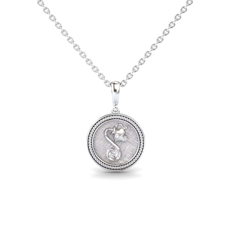 Aquarius Zodiac Medallion Necklace - Constance