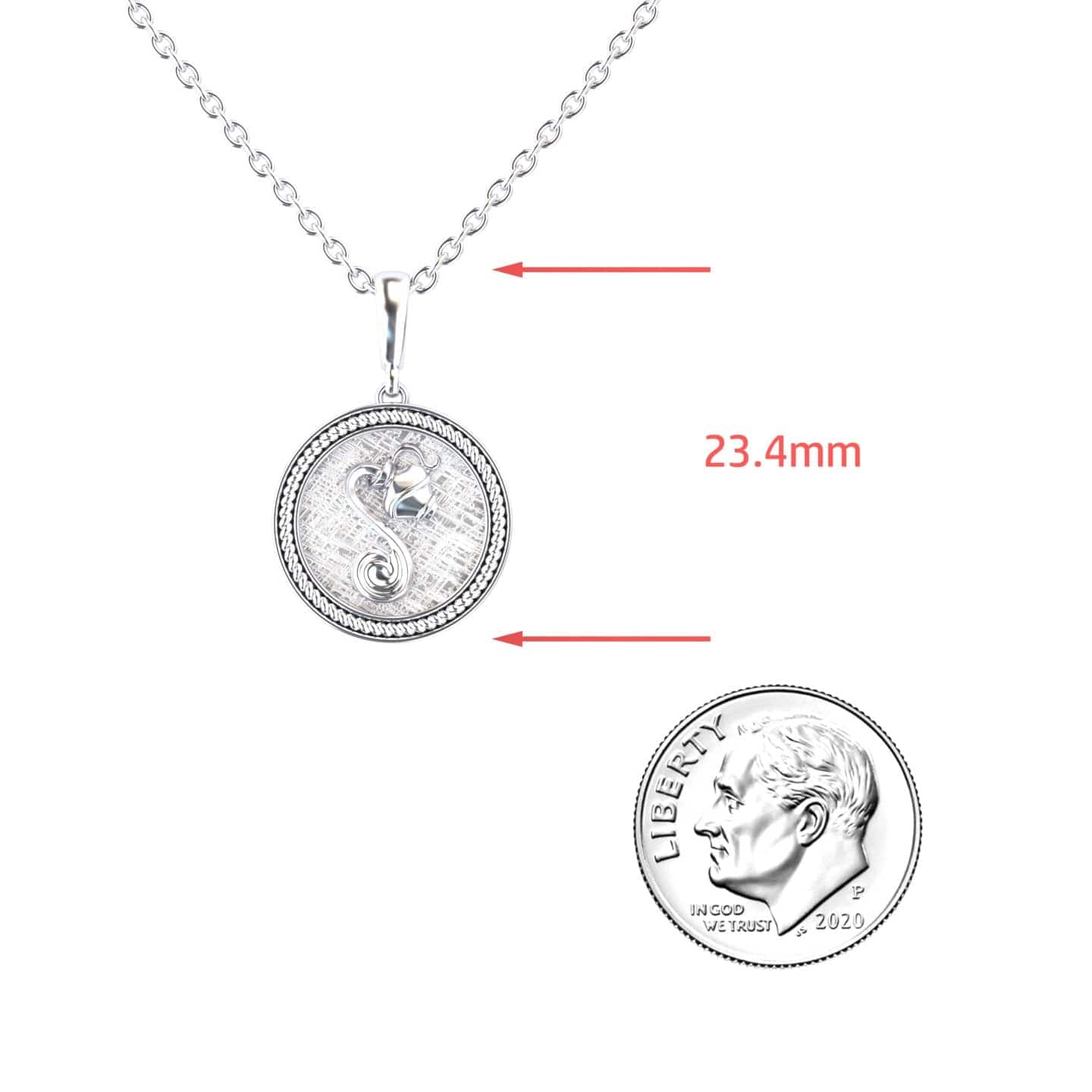 Aquarius Zodiac Medallion Necklace - Constance