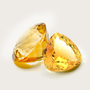 Understanding the Pricing of Citrine's