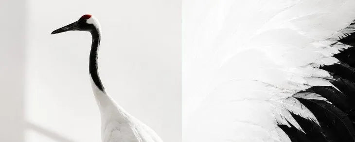 Red-crowned crane, the TrueSanity emblem