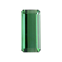 17.3x7.8 Emerald Green Tourmaline
