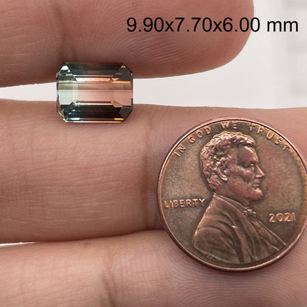 9.90x7.70 Bi-Color Emerald Tourmaline