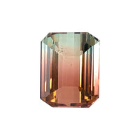 9.90x7.70 Bi-Color Emerald Tourmaline