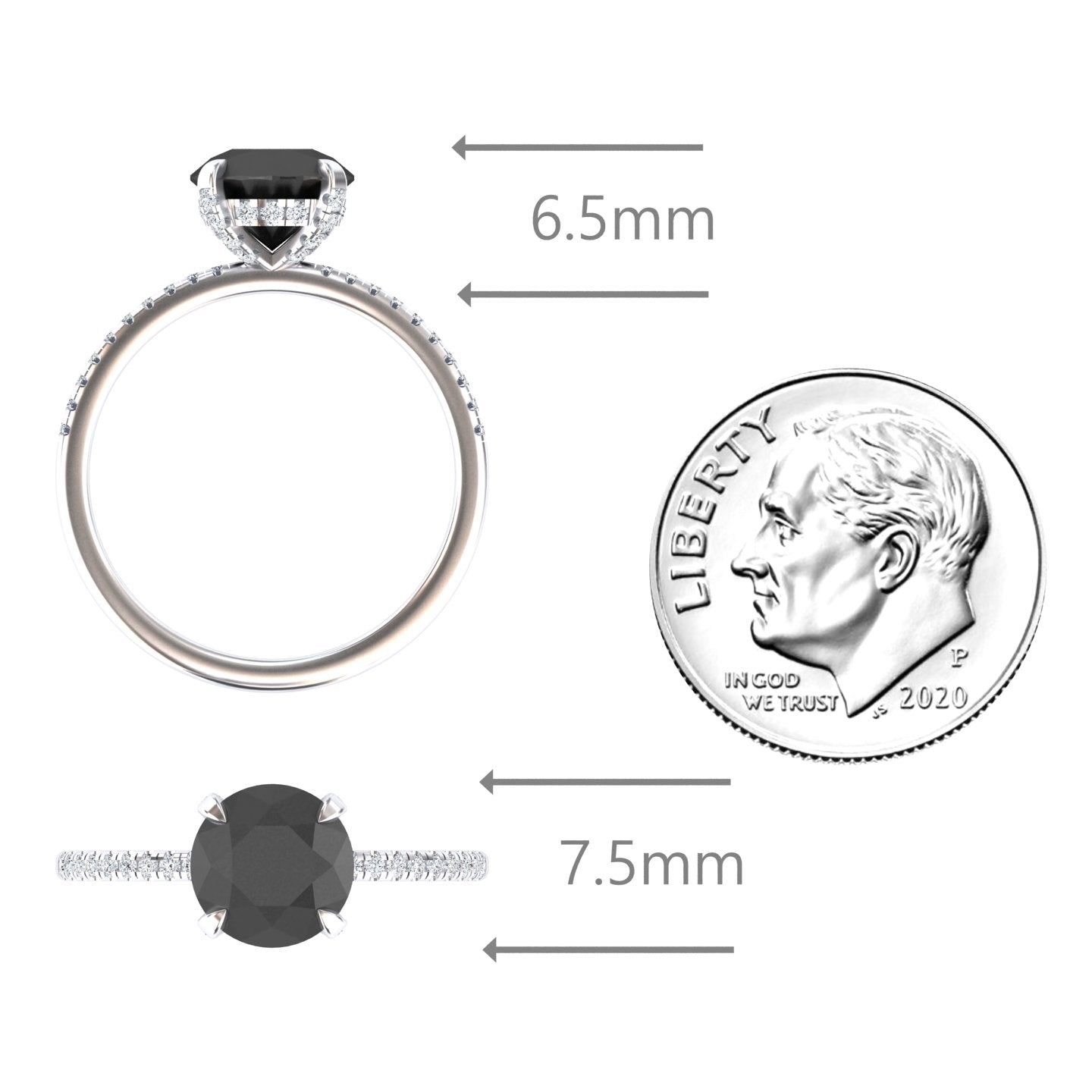 Round Hidden Halo Certified Natural Black Diamond Pave Engagement Ring - Tamara
