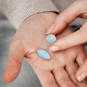 Understanding the Pricing of Opal's